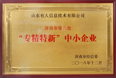 有人物聯(lián)網(wǎng)榮獲濟(jì)南市“專(zhuān)精特新”中小企業(yè)稱(chēng)號(hào)