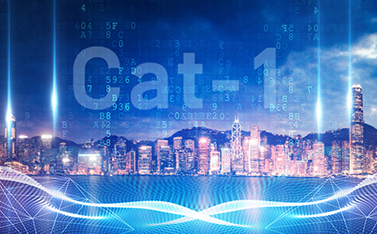 工信部重磅發(fā)文，Cat-1/NB-IoT再次站上新風口