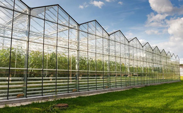 因為一場綜藝備受關(guān)注，智慧大棚到底有多神奇